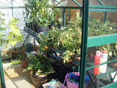 Elite Greenhouses prices held for 2012