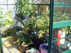 Elite Greenhouses prices held for 2012