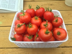 10 Things to do with surplus tomatoes