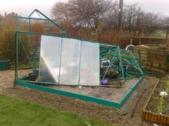 Greenhouse Storm Damage and Insurance Claims
