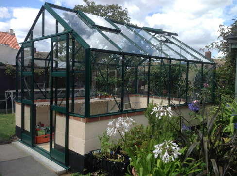Featured dwarf wall 12x8 green