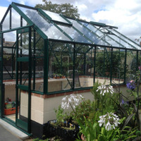 Featured dwarf wall 12x8 green