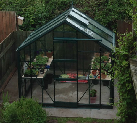 Belmont 6 x 8 pc green