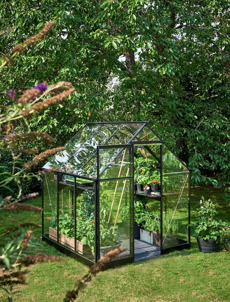 Qube 66 a