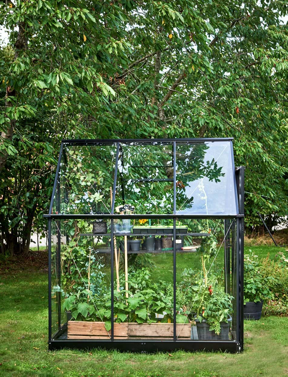 Qube 66 b