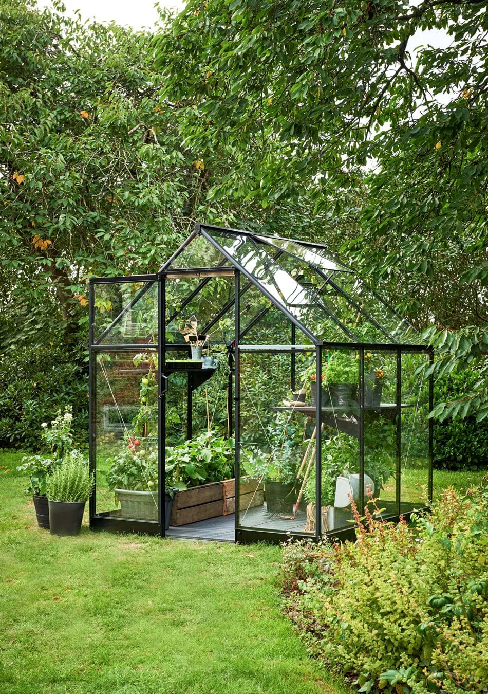 Qube 66 c