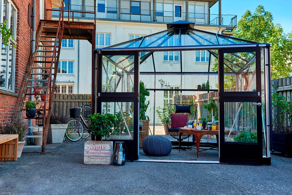 Oasis2