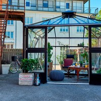 Oasis2