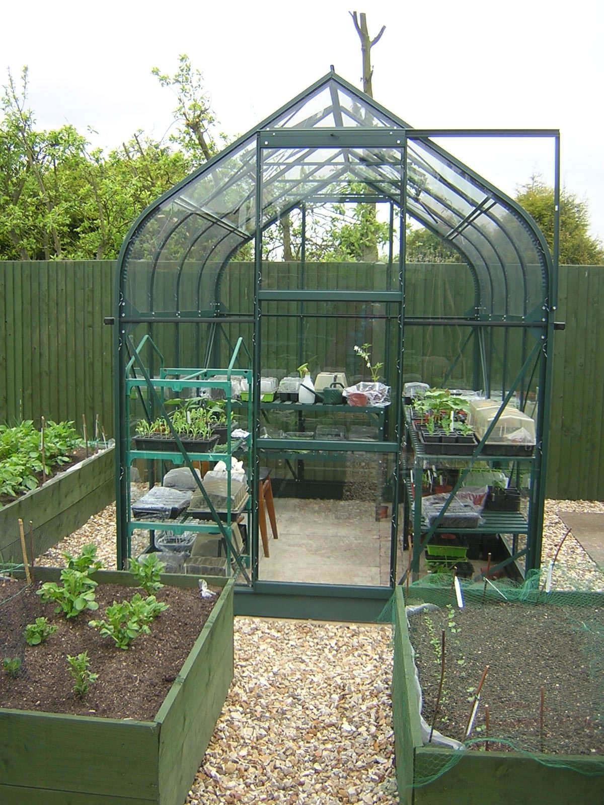 Orion 5000 green